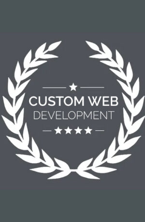 Custom Web Development